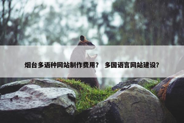 烟台多语种网站制作费用？ 多国语言网站建设？