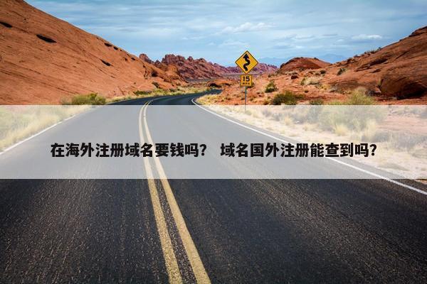 在海外注册域名要钱吗？ 域名国外注册能查到吗？