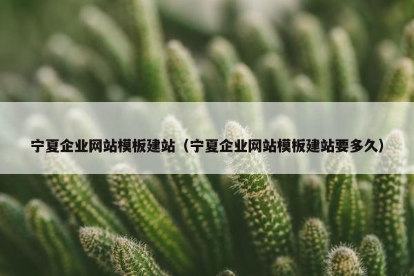 宁夏企业网站模板建站（宁夏企业网站模板建站要多久）