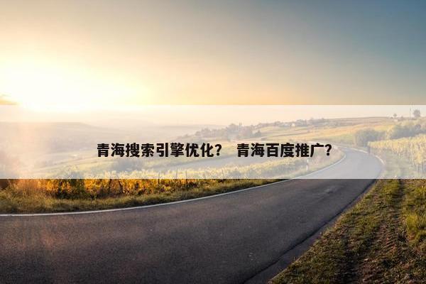 青海搜索引擎优化？ 青海百度推广？