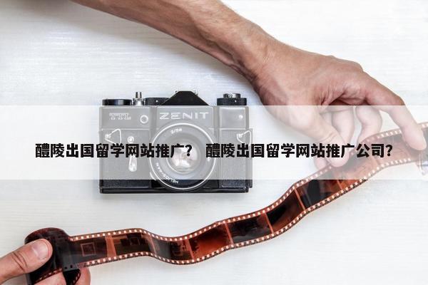 醴陵出国留学网站推广？ 醴陵出国留学网站推广公司？