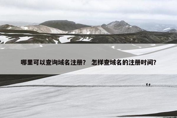 哪里可以查询域名注册？ 怎样查域名的注册时间？