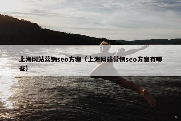 上海网站营销seo方案（上海网站营销seo方案有哪些）