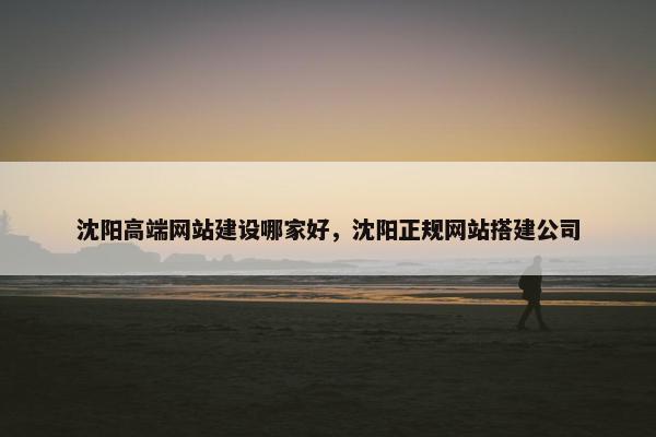 沈阳高端网站建设哪家好，沈阳正规网站搭建公司
