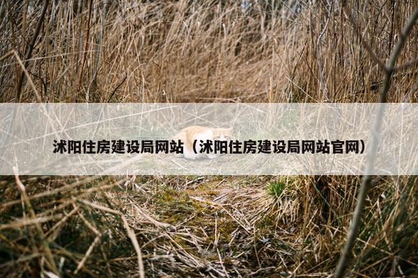 沭阳住房建设局网站（沭阳住房建设局网站官网）