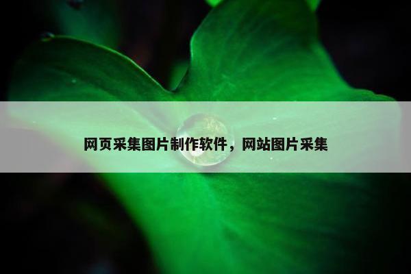 网页采集图片制作软件，网站图片采集