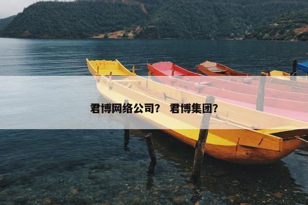 君博网络公司？ 君博集团？