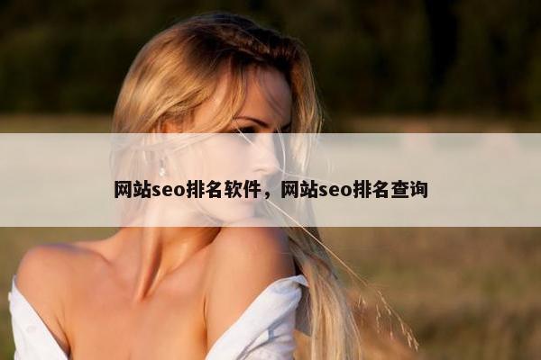 网站seo排名软件，网站seo排名查询