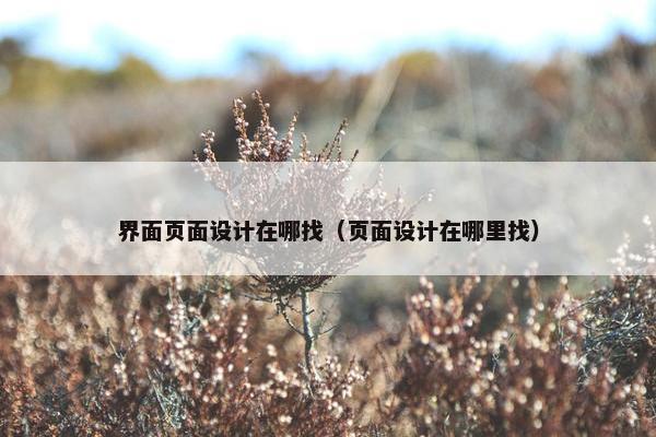 界面页面设计在哪找（页面设计在哪里找）
