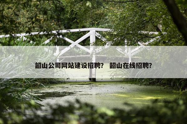 韶山公司网站建设招聘？ 韶山在线招聘？