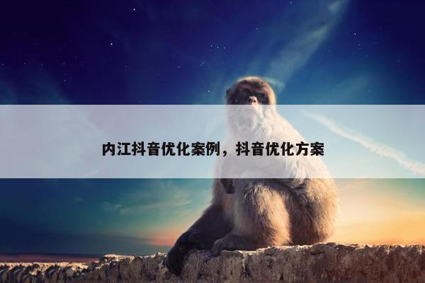 内江抖音优化案例，抖音优化方案