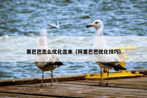 里巴巴怎么优化出来（阿里巴巴优化技巧）