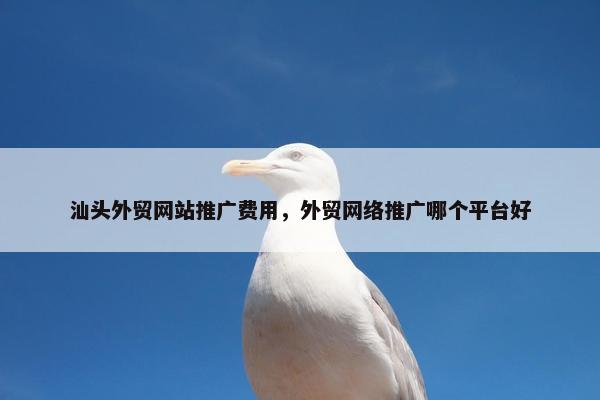 汕头外贸网站推广费用，外贸网络推广哪个平台好
