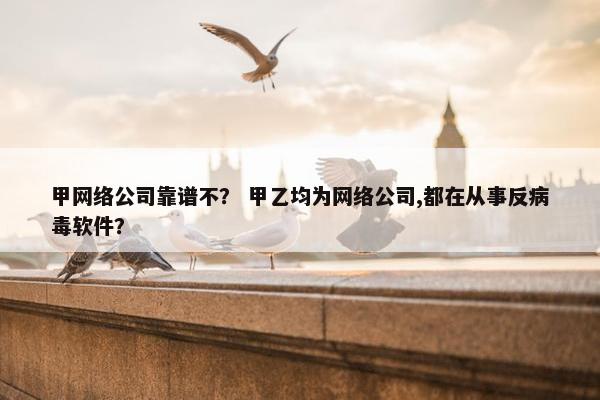 甲网络公司靠谱不？ 甲乙均为网络公司,都在从事反病毒软件？
