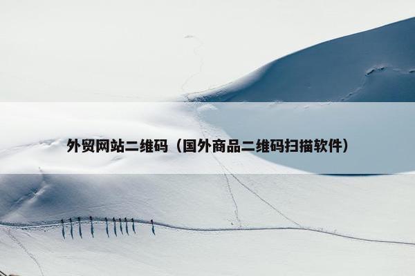 外贸网站二维码（国外商品二维码扫描软件）