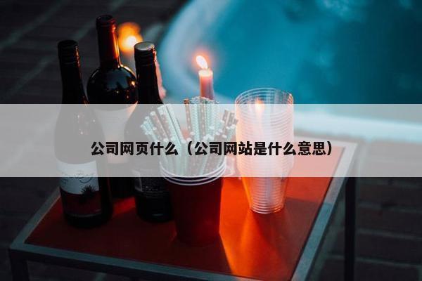 公司网页什么（公司网站是什么意思）