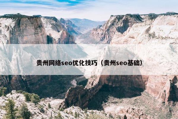 贵州网络seo优化技巧（贵州seo基础）