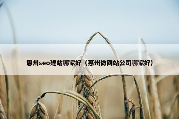 惠州seo建站哪家好（惠州做网站公司哪家好）