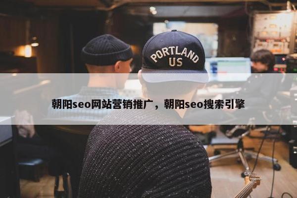 朝阳seo网站营销推广，朝阳seo搜索引擎