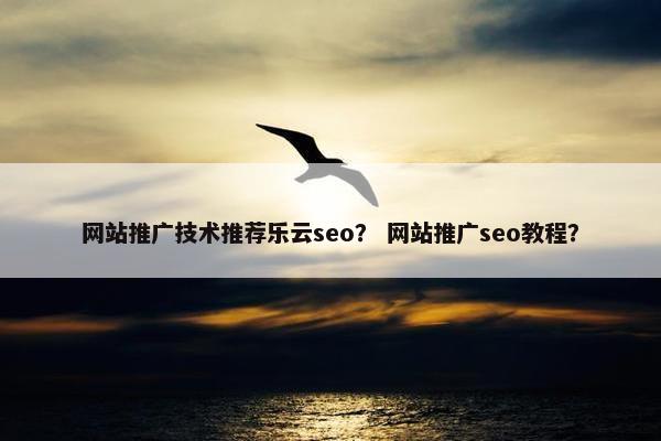 网站推广技术推荐乐云seo？ 网站推广seo教程？