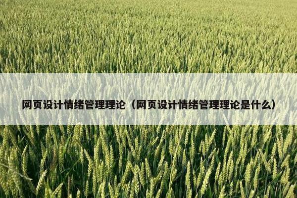网页设计情绪管理理论（网页设计情绪管理理论是什么）