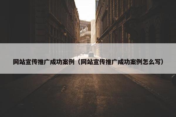 网站宣传推广成功案例（网站宣传推广成功案例怎么写）