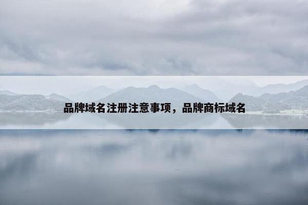 品牌域名注册注意事项，品牌商标域名