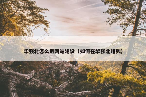 华强北怎么用网站建设（如何在华强北赚钱）