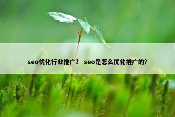 seo优化行业推广？ seo是怎么优化推广的？