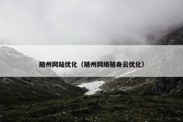 随州网站优化（随州网络随身云优化）