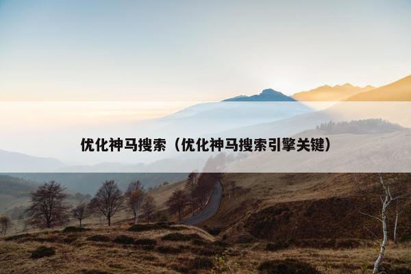 优化神马搜索（优化神马搜索引擎关键）