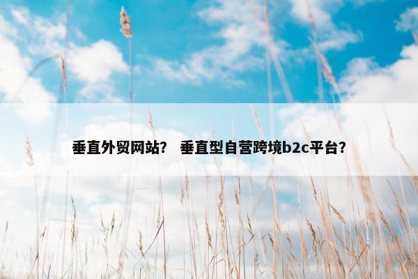 垂直外贸网站？ 垂直型自营跨境b2c平台？