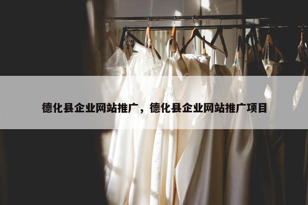德化县企业网站推广，德化县企业网站推广项目