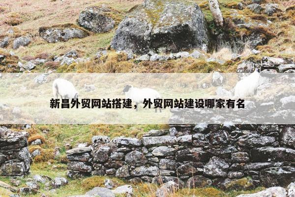 新昌外贸网站搭建，外贸网站建设哪家有名