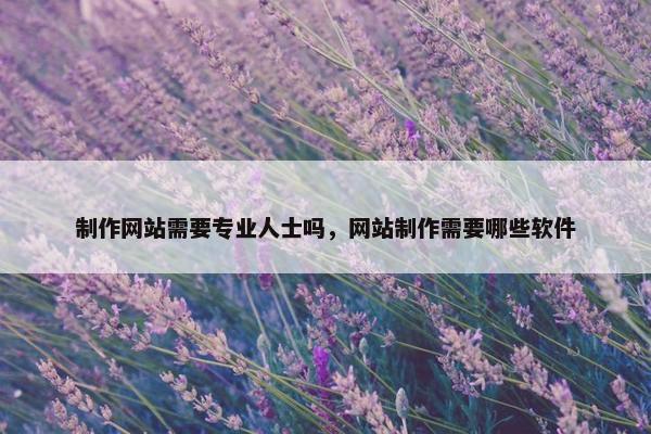 制作网站需要专业人士吗，网站制作需要哪些软件