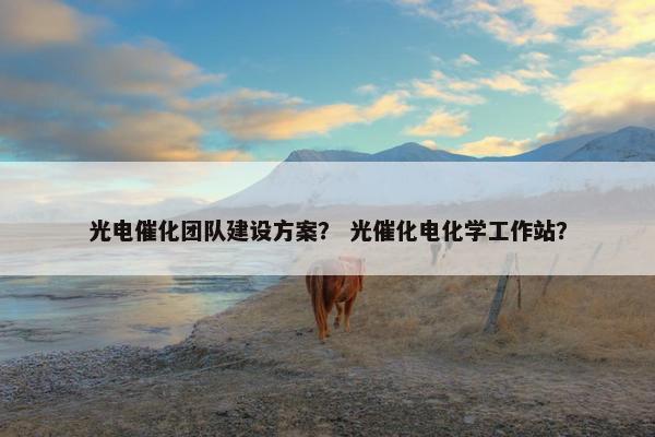 光电催化团队建设方案？ 光催化电化学工作站？