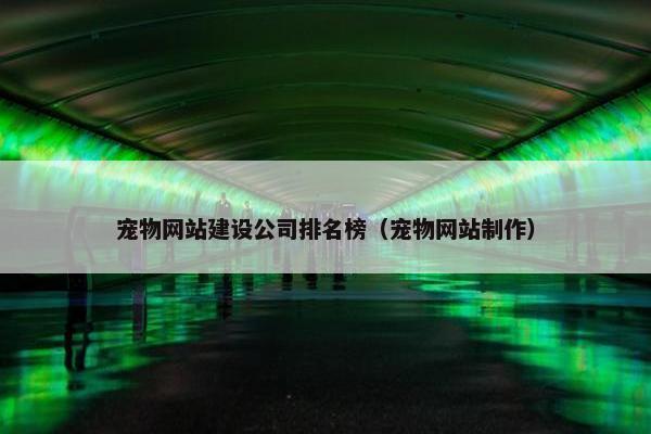 宠物网站建设公司排名榜（宠物网站制作）