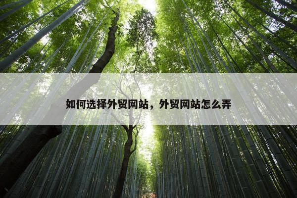 如何选择外贸网站，外贸网站怎么弄