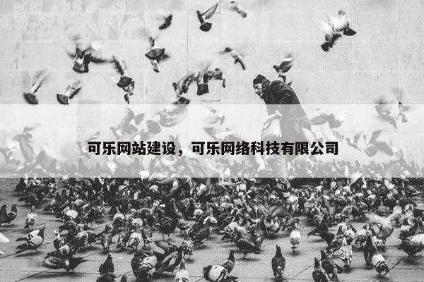 可乐网站建设，可乐网络科技有限公司