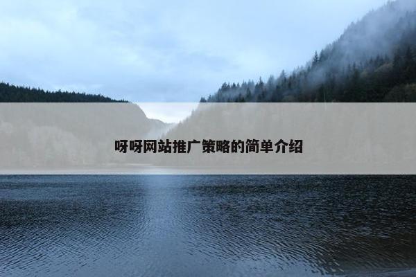 呀呀网站推广策略的简单介绍