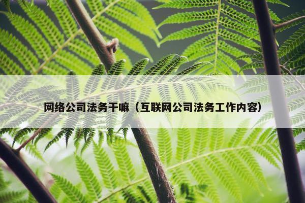 网络公司法务干嘛（互联网公司法务工作内容）