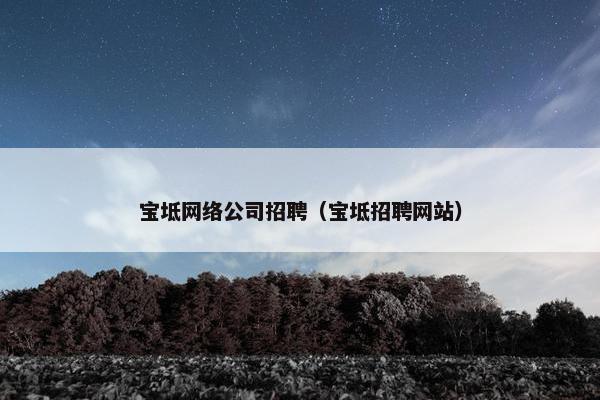 宝坻网络公司招聘（宝坻招聘网站）