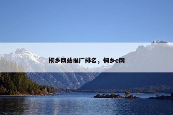 桐乡网站推广排名，桐乡e网