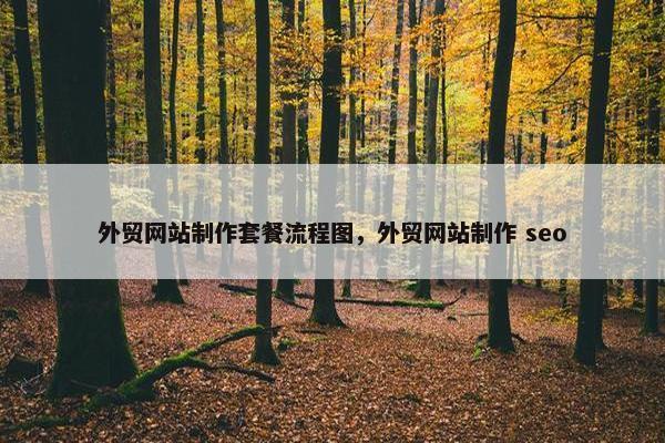 外贸网站制作套餐流程图，外贸网站制作 seo