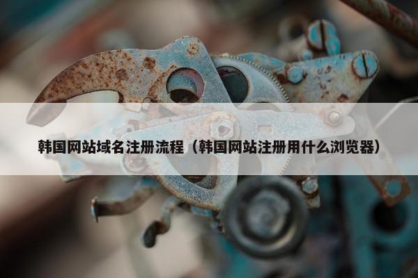韩国网站域名注册流程（韩国网站注册用什么浏览器）
