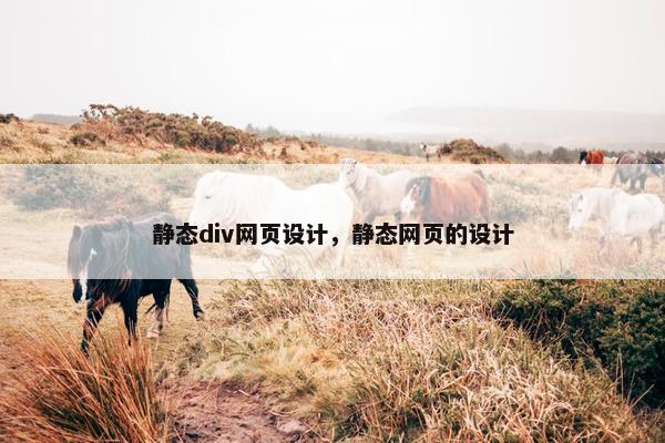 静态div网页设计，静态网页的设计