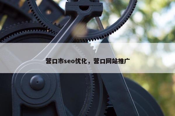 营口市seo优化，营口网站推广