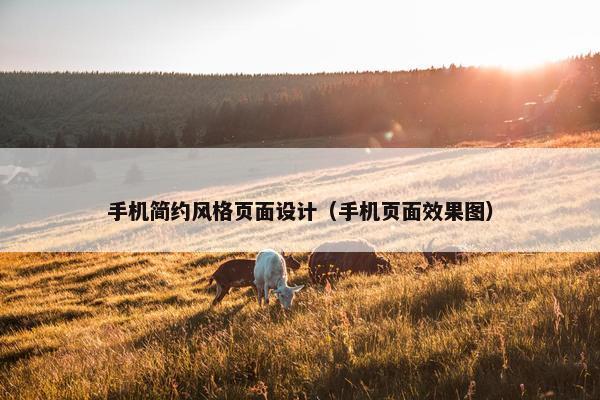 手机简约风格页面设计（手机页面效果图）