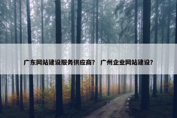 广东网站建设服务供应商？ 广州企业网站建设？