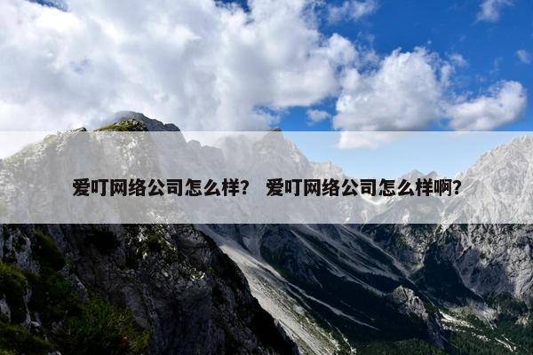 爱叮网络公司怎么样？ 爱叮网络公司怎么样啊？